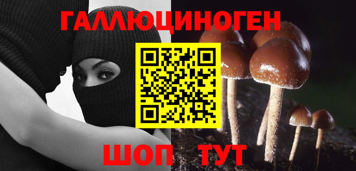 Комсомольск-на-Амуре  Псилоцибиновые грибы Cubensis  наркошоп  Вход с VPN 